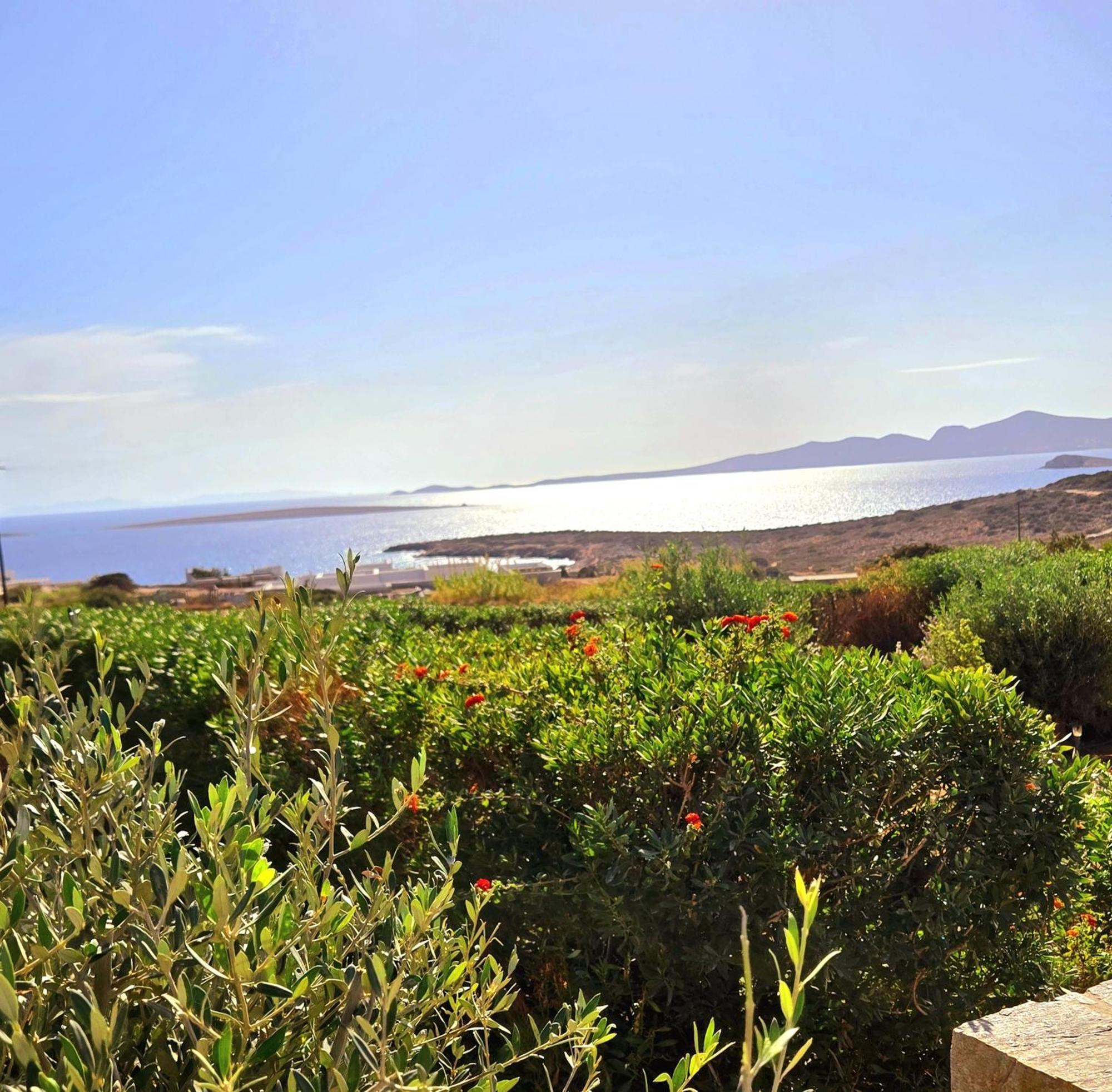 Paros Afrodite Luxury Villas Alikí 외부 사진